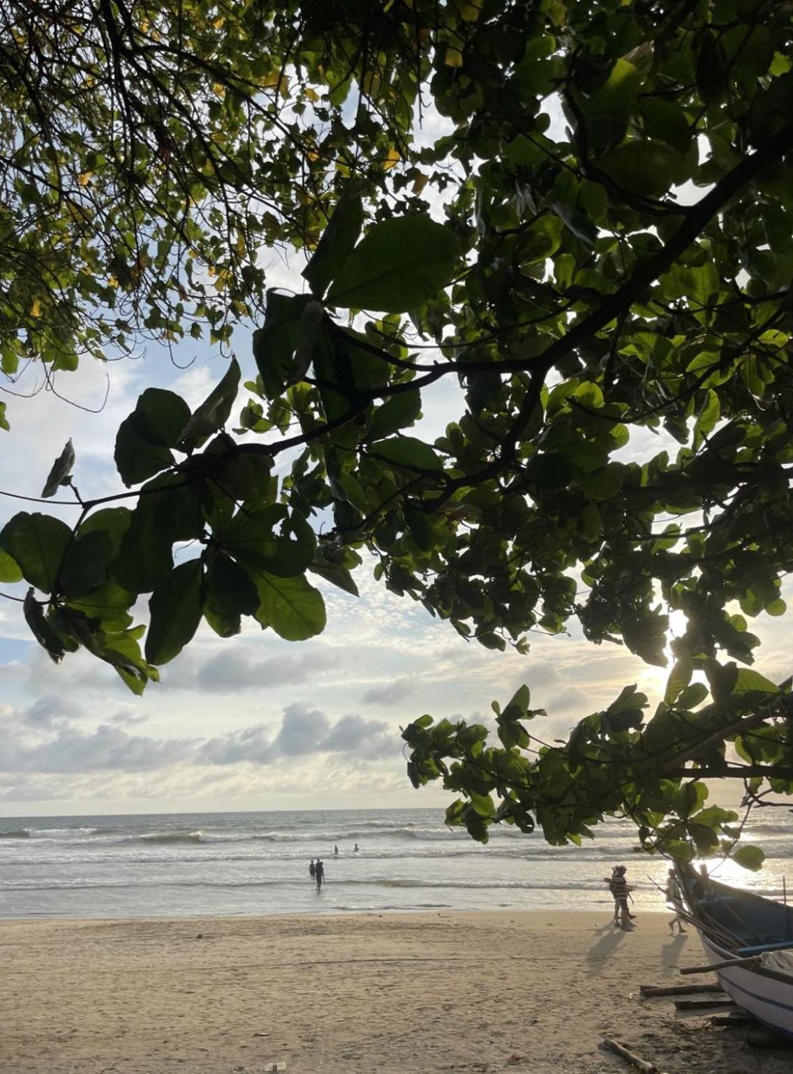 12 Monks - Beachside Hostel อารัมบล ภายนอก รูปภาพ