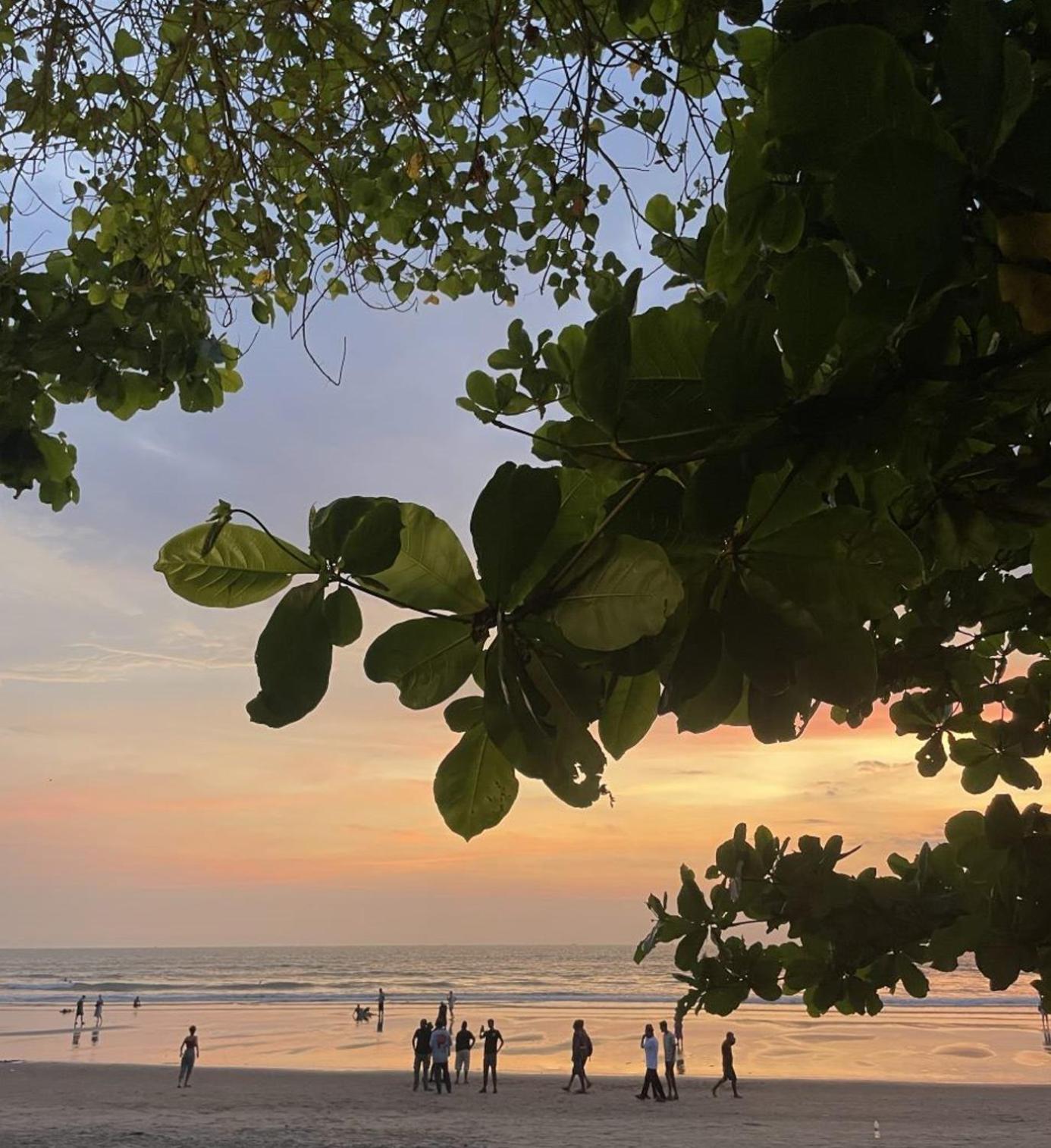 12 Monks - Beachside Hostel อารัมบล ภายนอก รูปภาพ